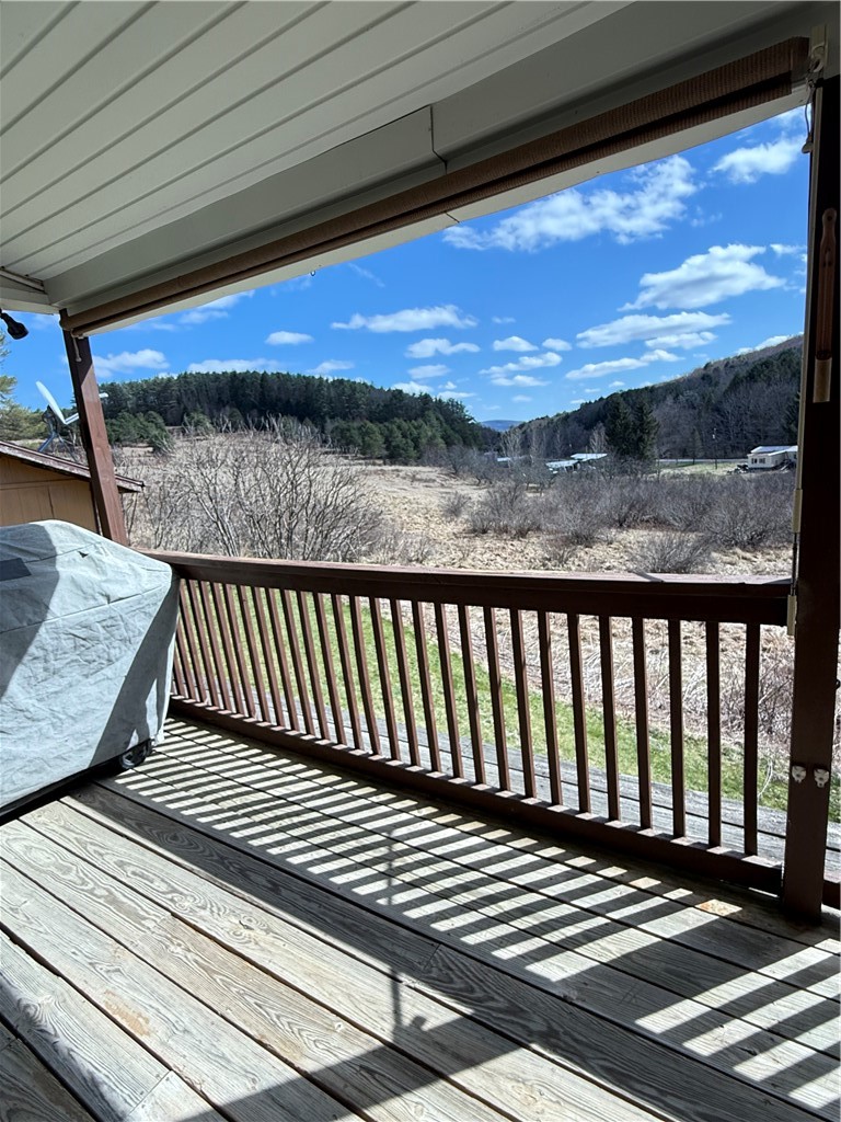 132 Lull Hill Road Laurens, NY 13796 - Photo 7 of 44