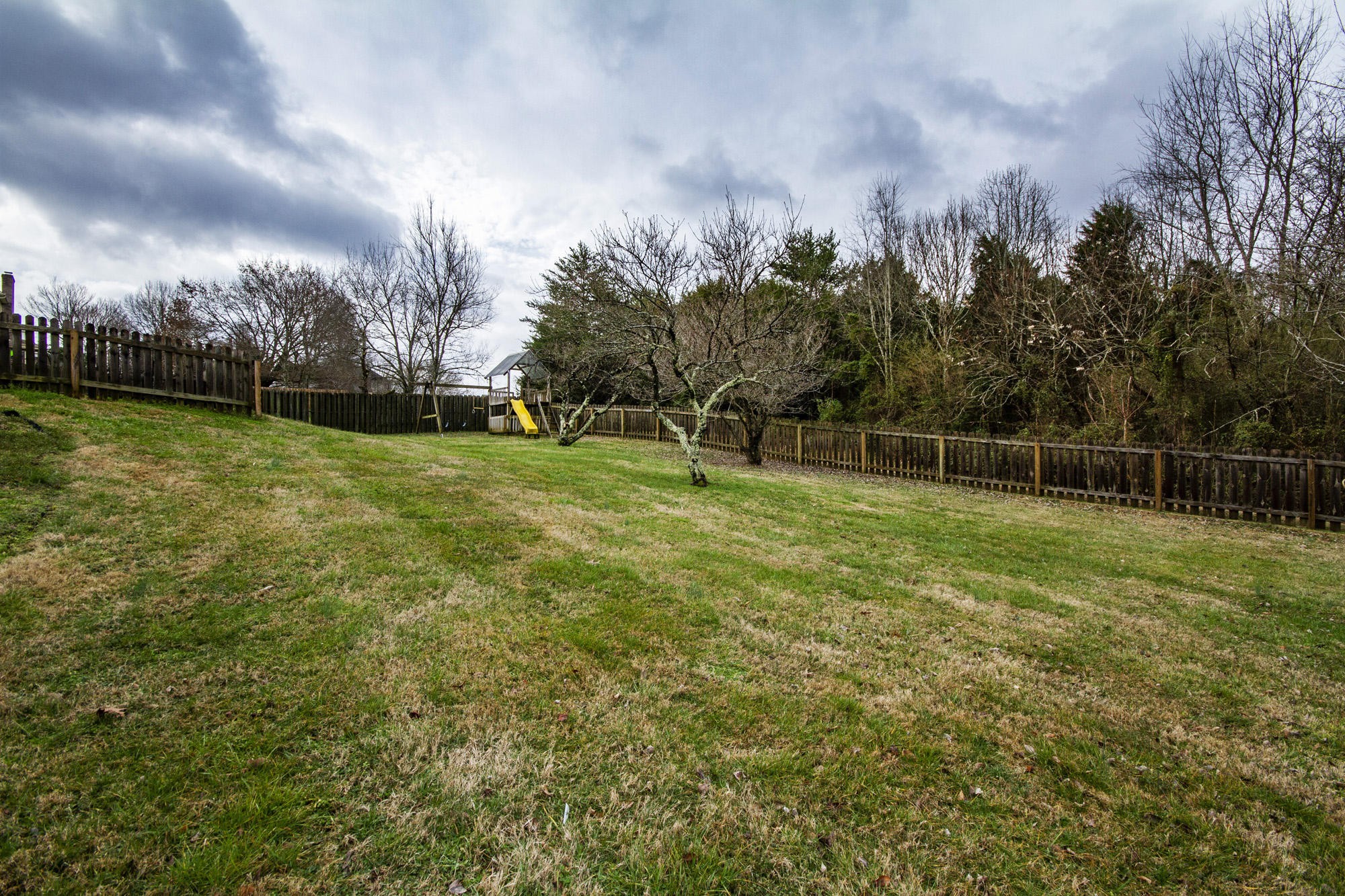 229 Long Bow Road Knoxville, TN 37934 - Photo 36 of 38 a view of a garden with a building in the background