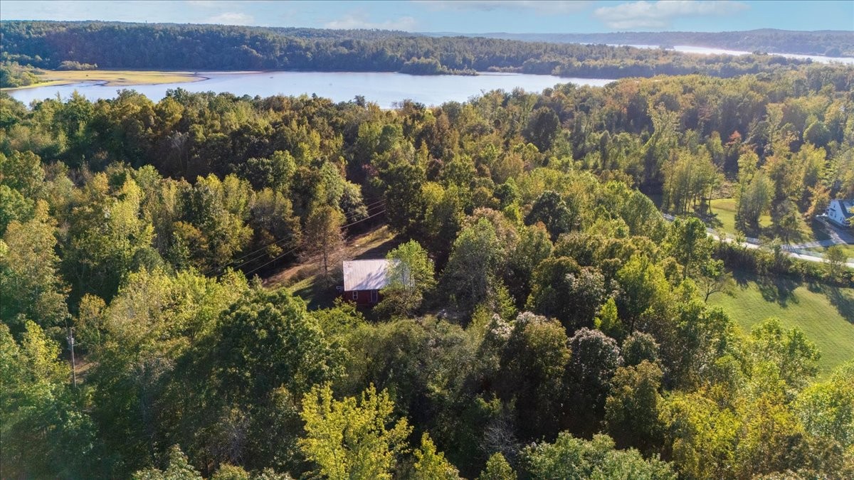 3316 Toms Creek Road Linden, TN 37096 - Photo 32 of 44 a view of a forest with a lake and mountain view