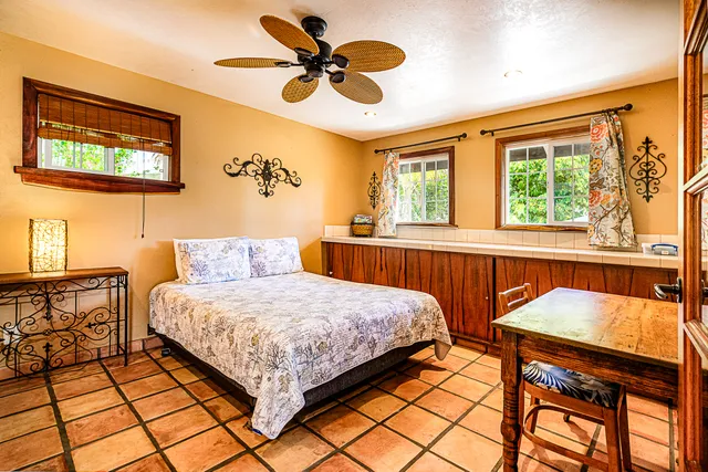 a street view with potted plants and palm trees