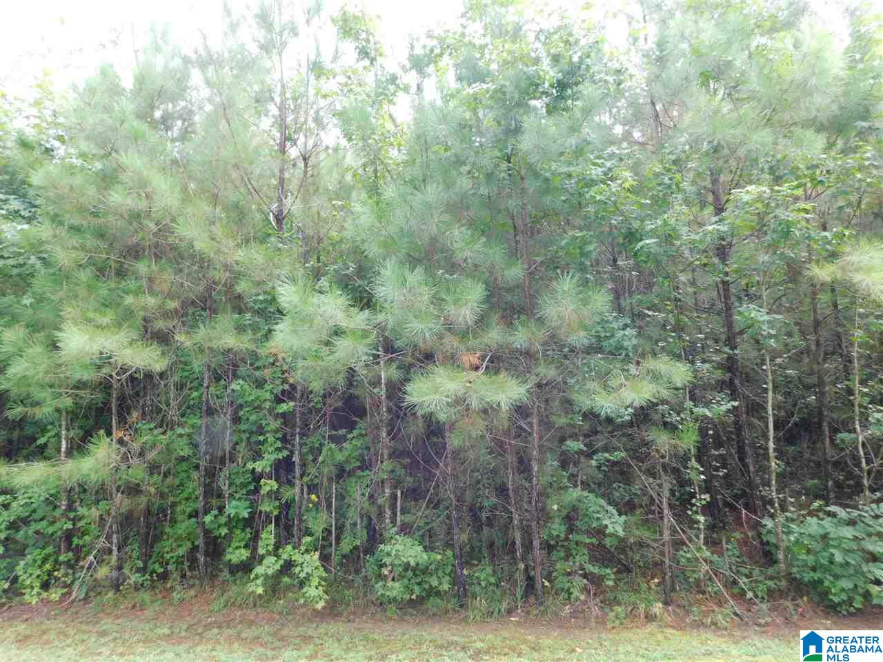 133 County Road, Unit 2 & 3 Empire, AL 35063 - Photo 6 of 15