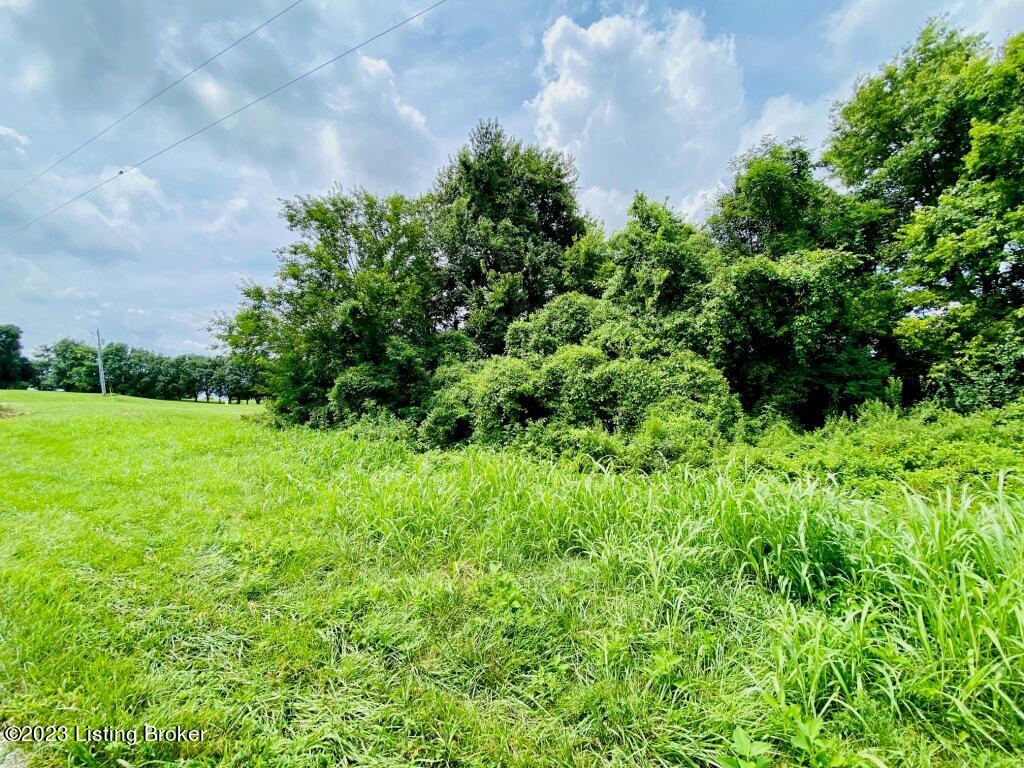 Lot 5 Dominican View Drive Springfield, KY 40069 - Photo 4 of 6 Lot5a4