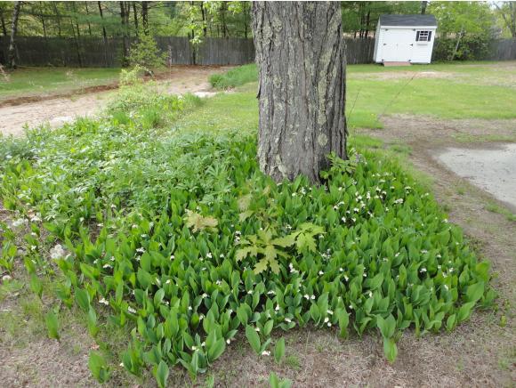 22 Melrose Drive Rochester, NH 03868 - Photo 14 of 15