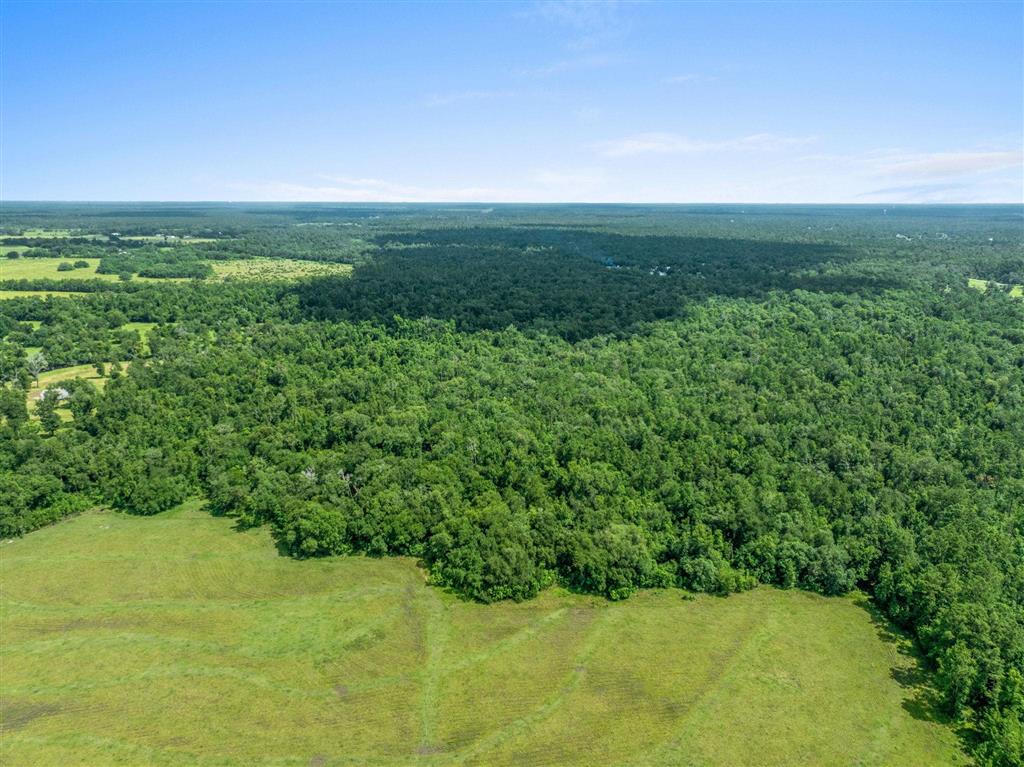 4490 Choupique Road Sulphur, LA 70665 - Photo 44 of 53
