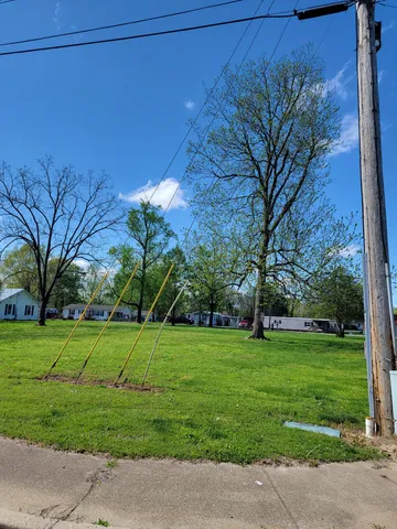 a view of a park with large trees