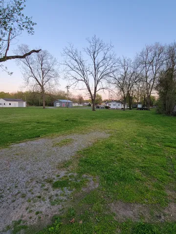 a view of a park with large trees