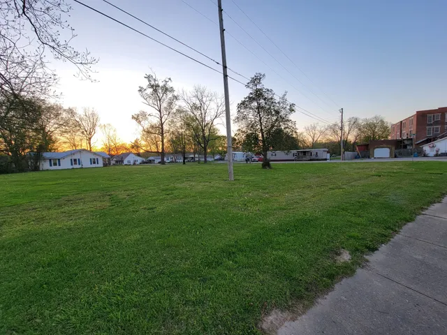 a view of a park with large trees