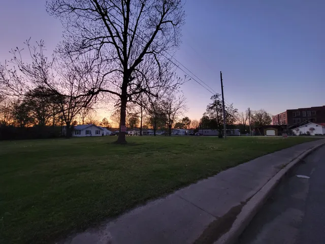 a view of a park with large trees