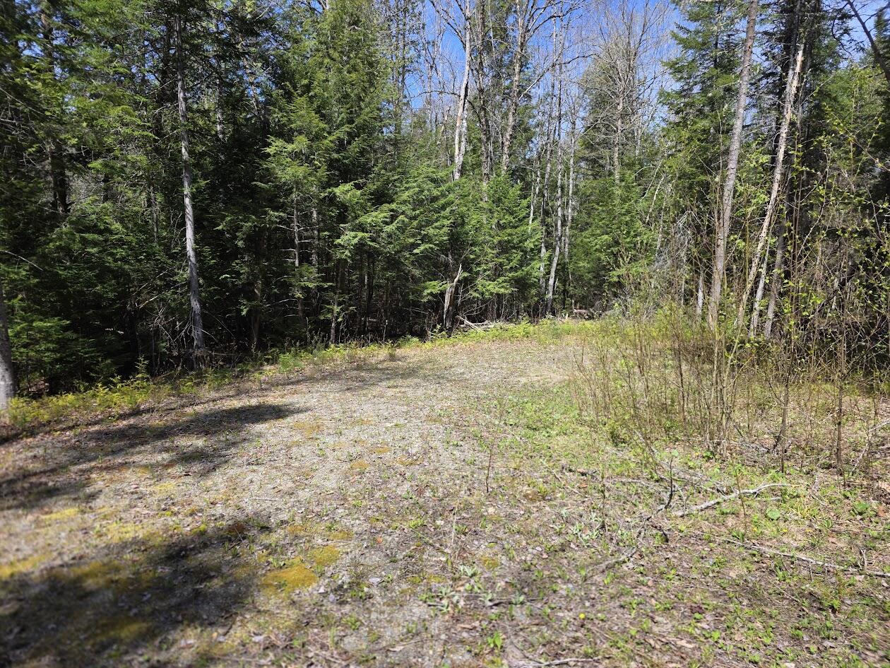 L2 Us Rt 2 Kingman, ME 04451 - Photo 4 of 18 20260513_111555
