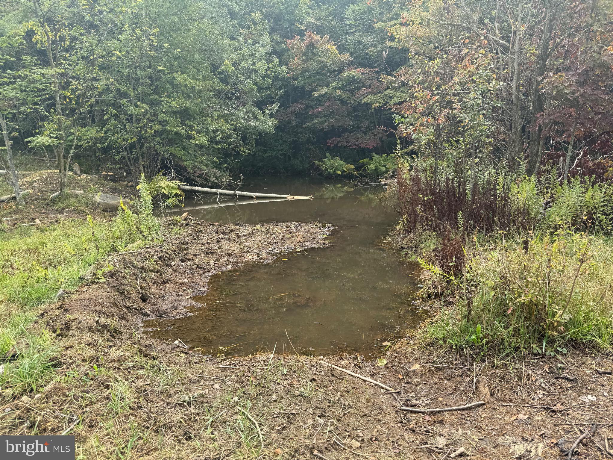 0 Pinnacle Road Keyser, WV 26726 - Photo 40 of 61