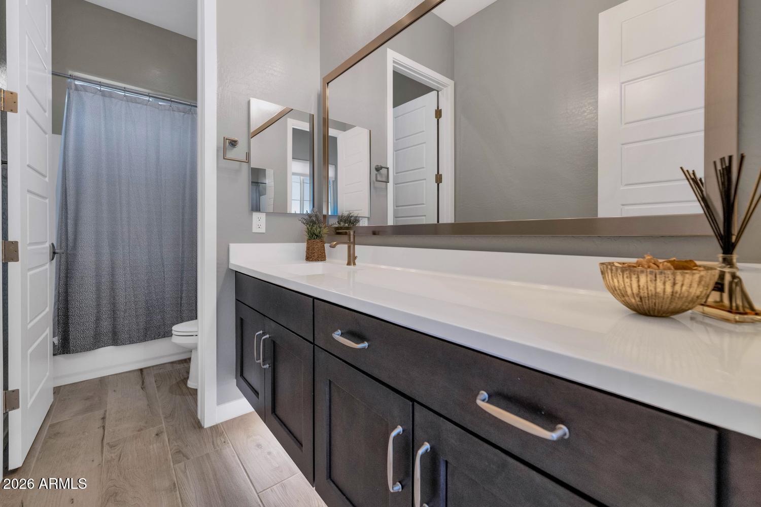 8142 East Jaeger Street Mesa, AZ 85207 - Photo 25 of 48 Bathroom 2