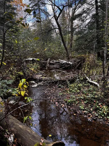 $899,000 | 1774 Highway 2 Two Harbors, Two Harbors, MN 55616