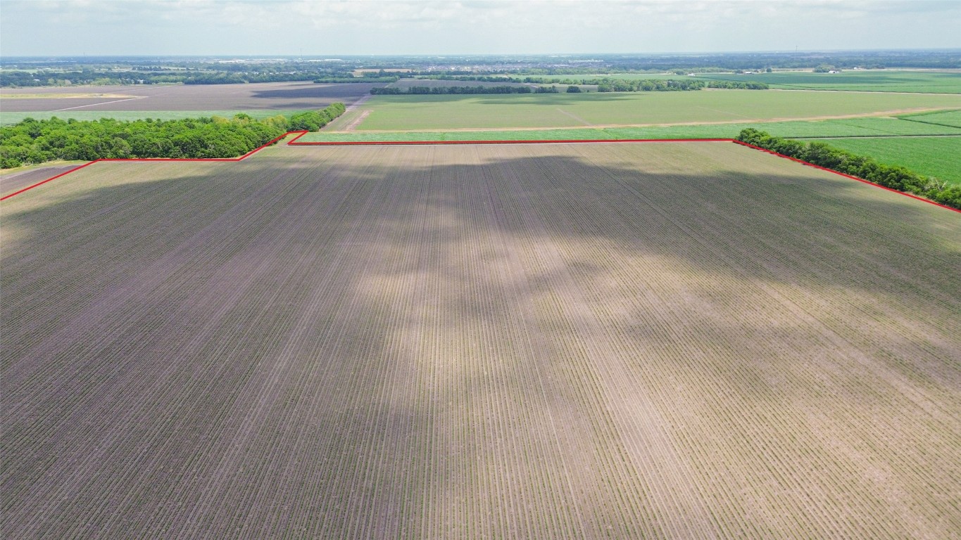 4141 Reeh Road Needville, TX 77461 - Photo 12 of 12