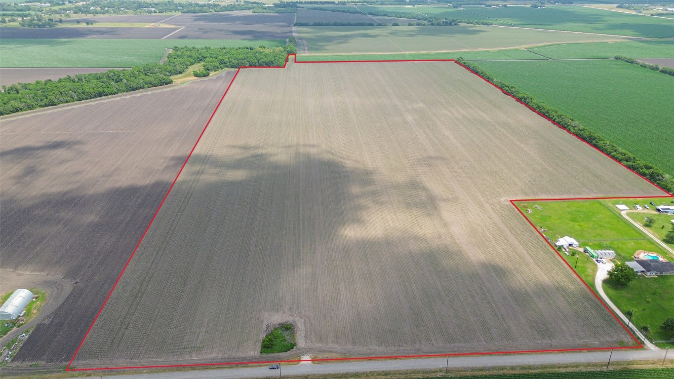 4141 Reeh Road Needville, TX 77461 - Photo 3 of 12