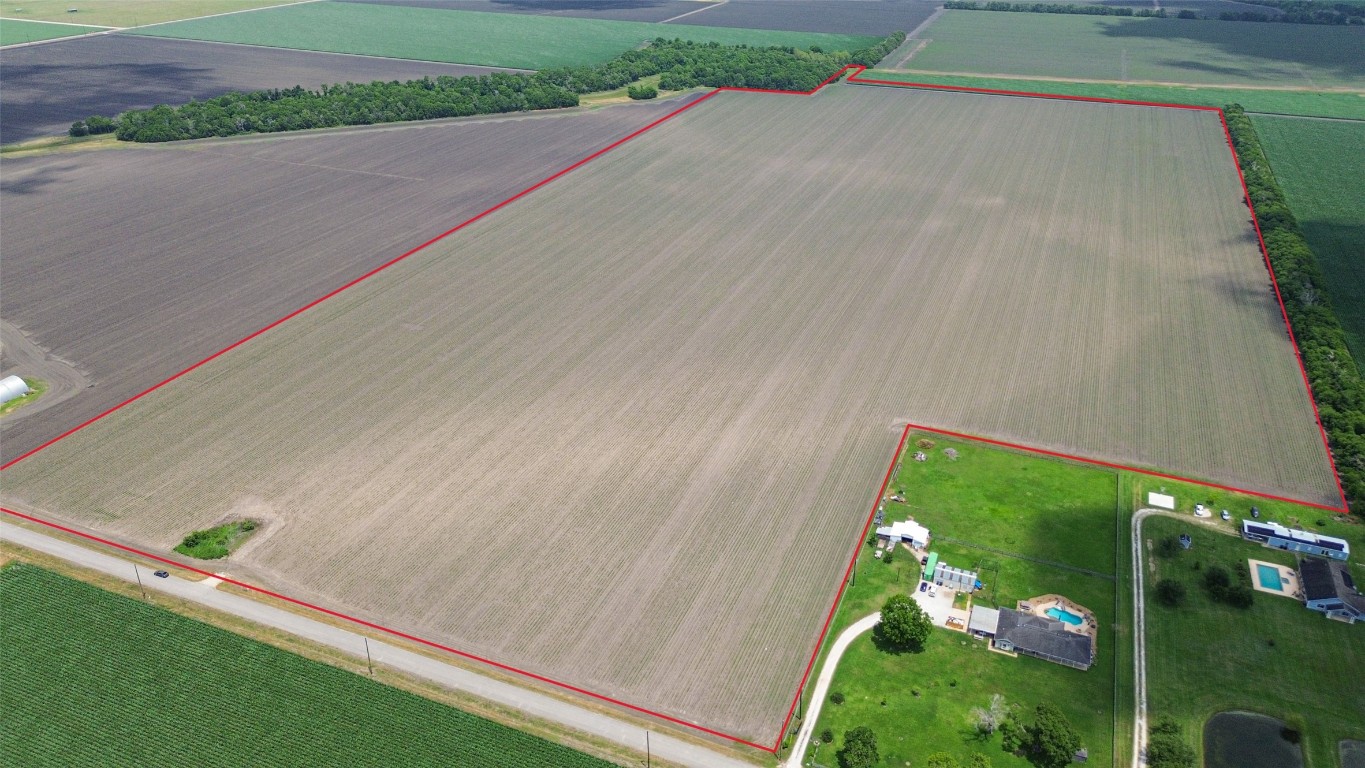 4141 Reeh Road Needville, TX 77461 - Photo 4 of 12