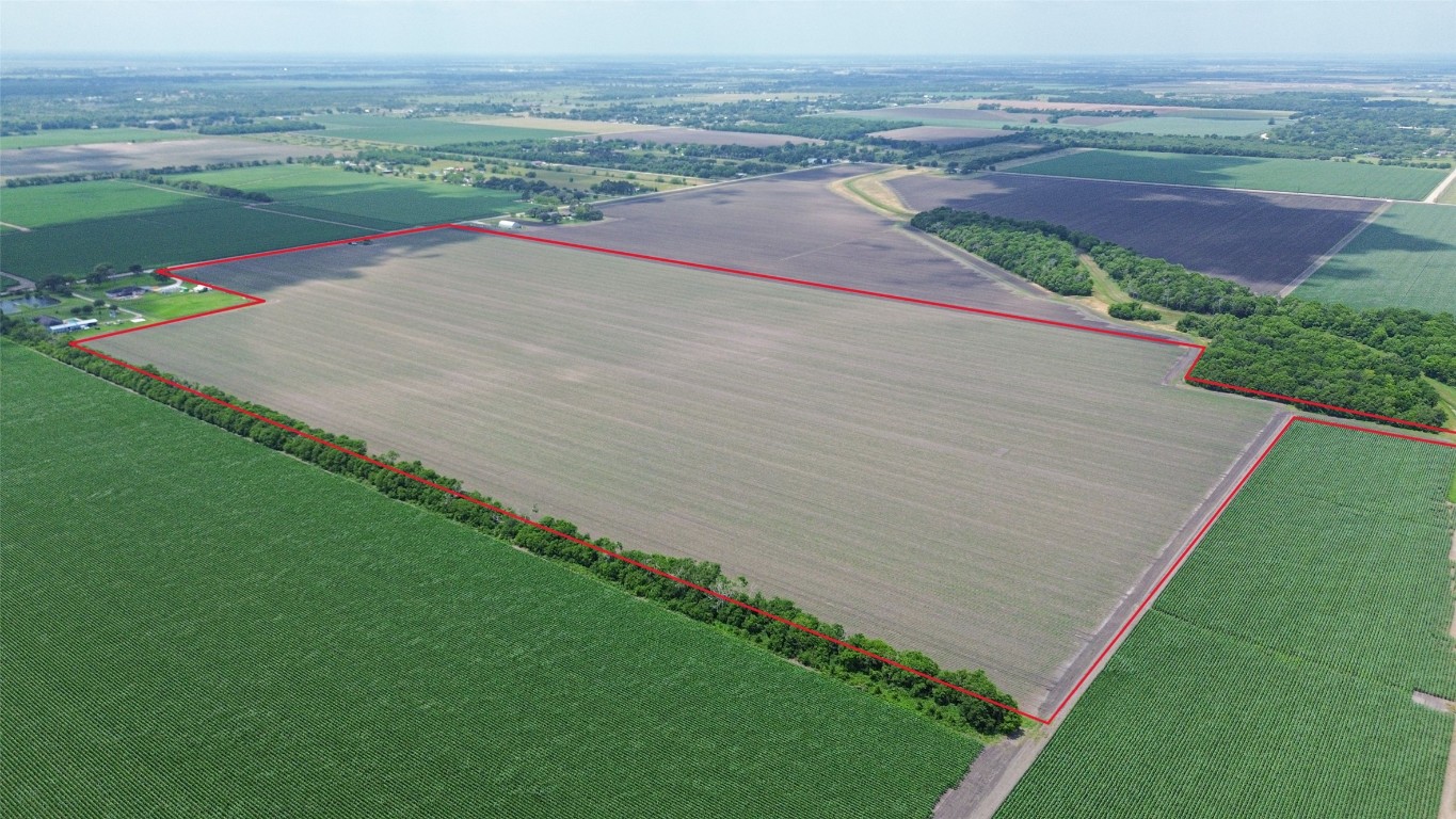 4141 Reeh Road Needville, TX 77461 - Photo 6 of 12