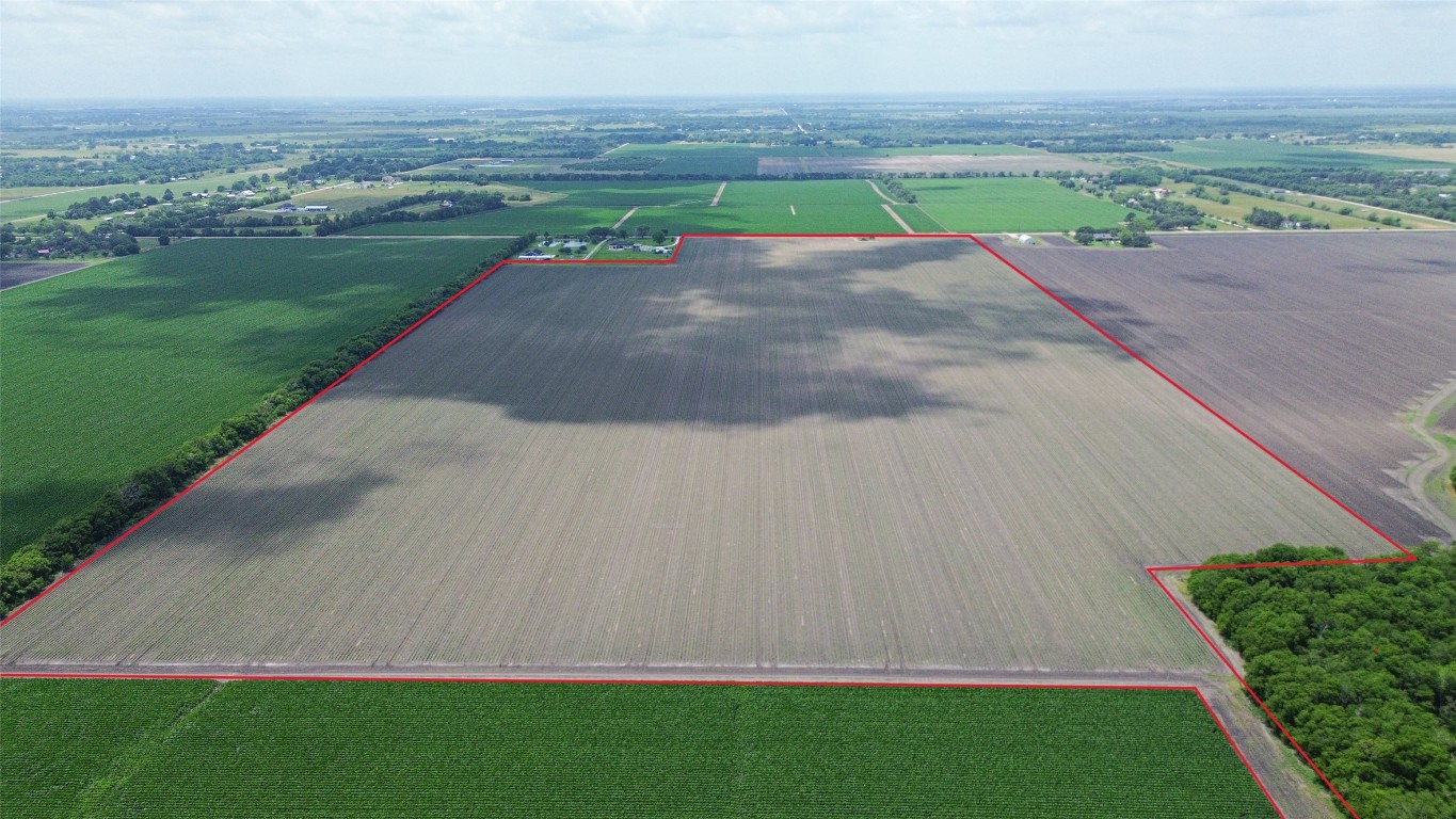 4141 Reeh Road Needville, TX 77461 - Photo 7 of 12