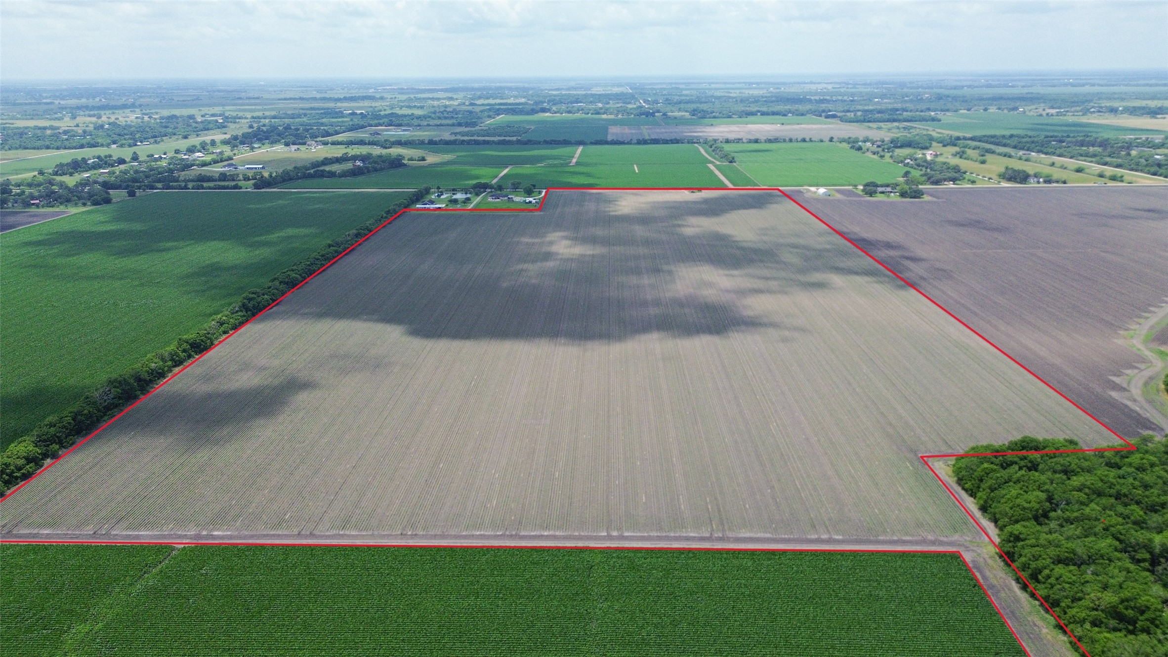 4141 Reeh Road Needville, TX 77461 - Photo 7 of 12