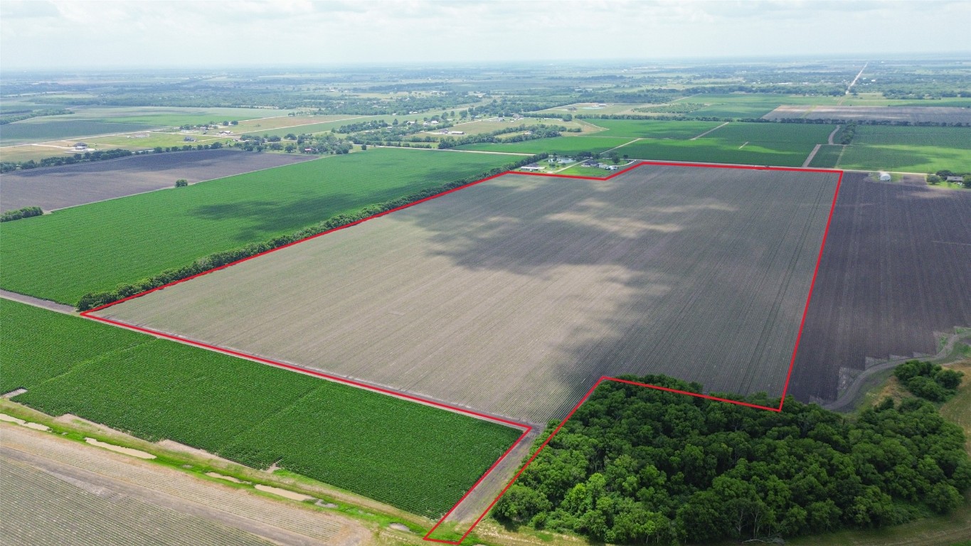 4141 Reeh Road Needville, TX 77461 - Photo 8 of 12