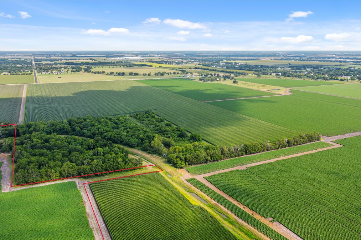 4141 Reeh Road Needville, TX 77461 - Photo 9 of 12