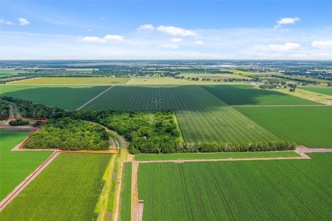 4141 Reeh Road Needville, TX 77461 - Photo 10 of 12