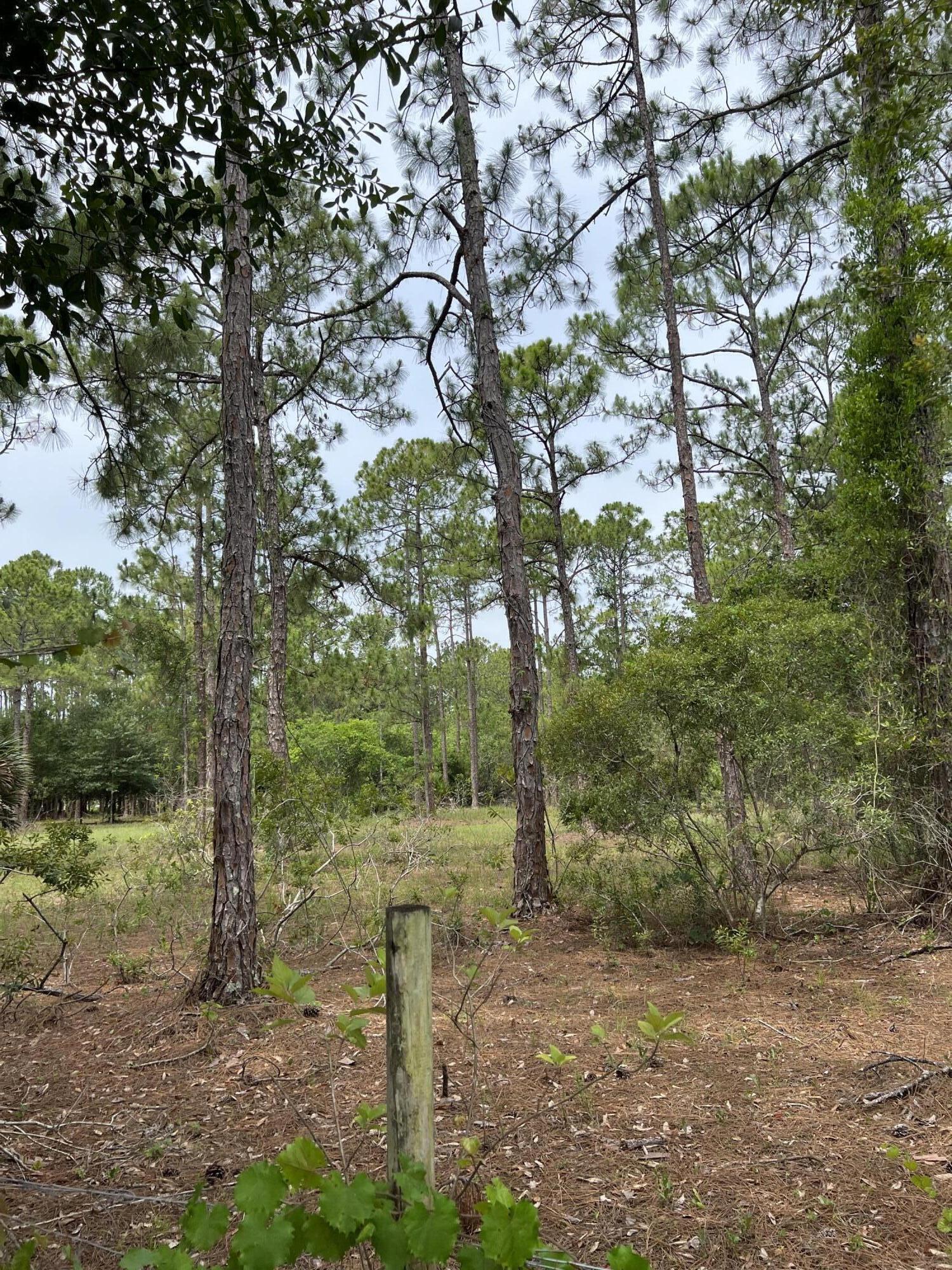 2001 Panama Avenue Clewiston, FL 33440 - Photo 2 of 2 2001 Panama Avenue