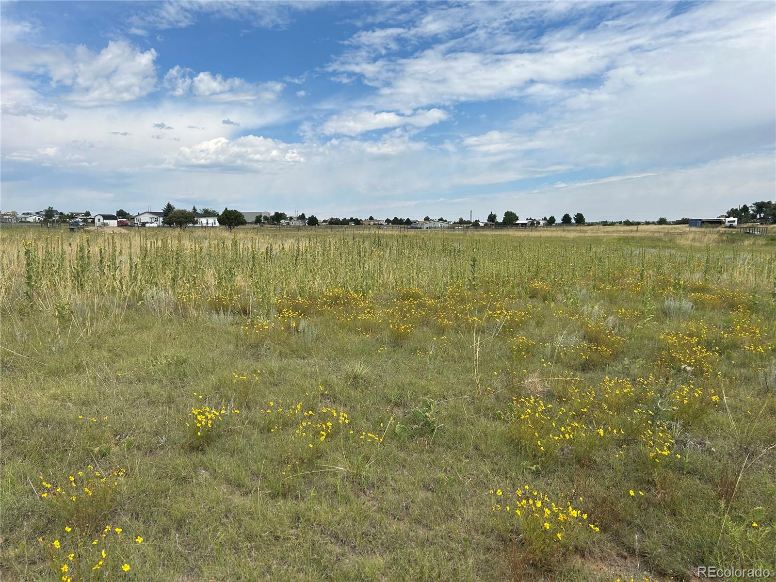 3640 Murr Road Peyton, CO 80831 - Photo 21 of 22 a view of a lake from a yard