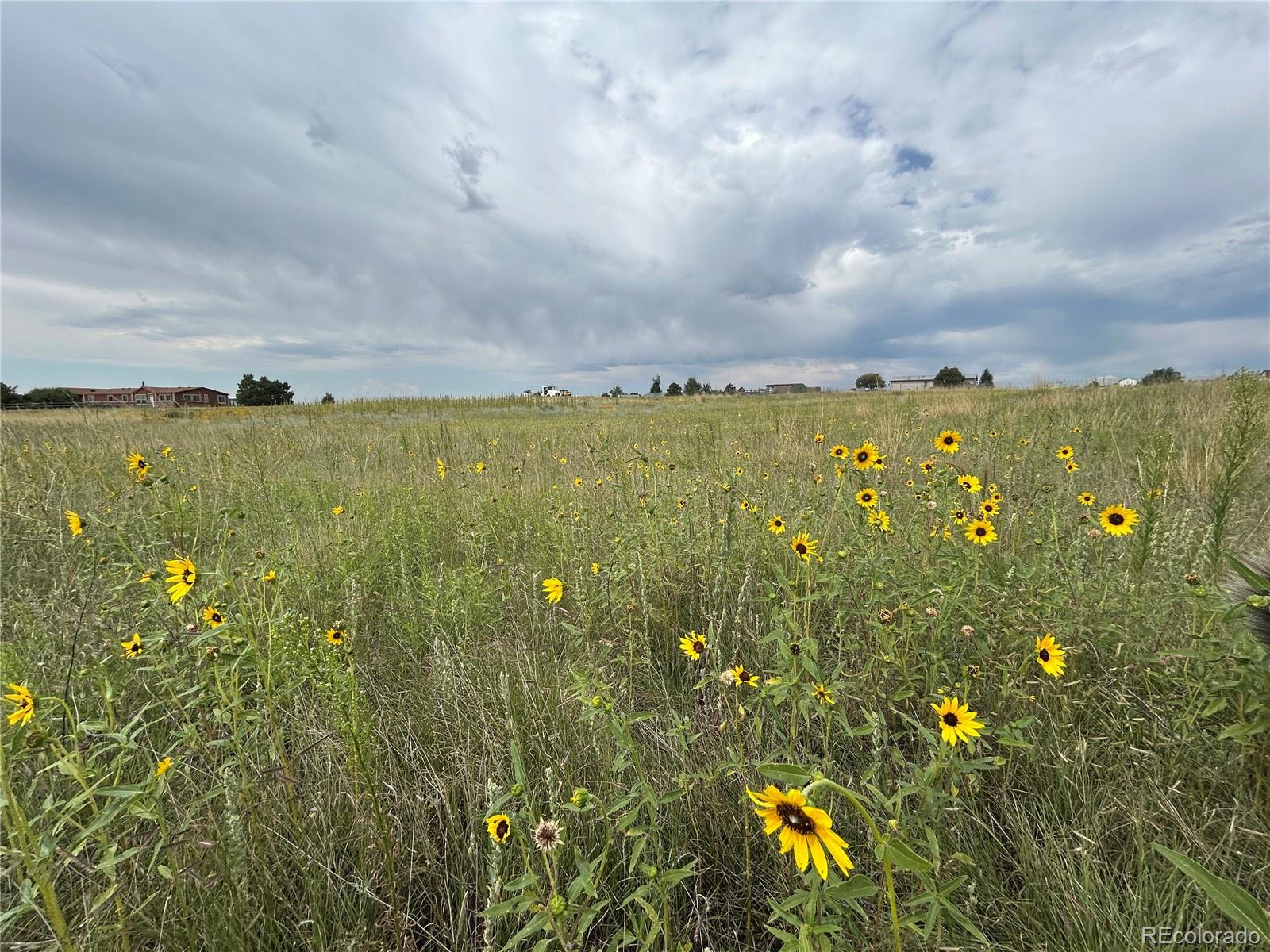 3640 Murr Road Peyton, CO 80831 - Photo 4 of 22 a view of a city