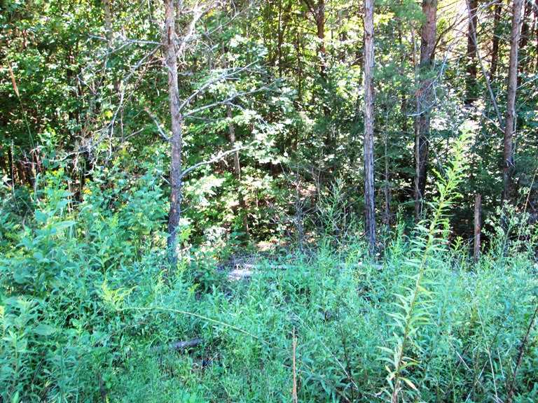 151 Choestoea Road, Unit LOT 11 Westminster, SC 29693 - Photo 3 of 12 Gallery Image 3