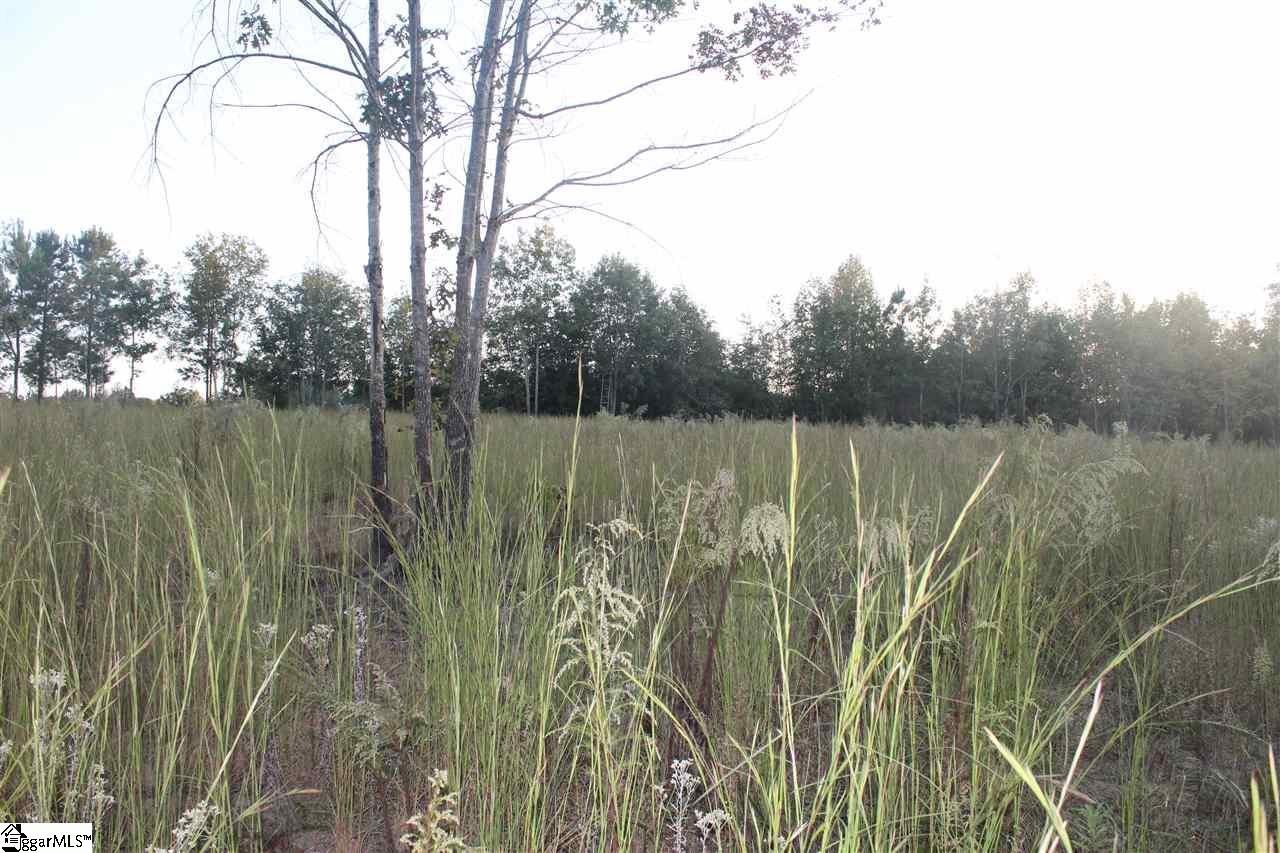 743 Water Tank Road Gray Court, SC 29645 - Photo 3 of 9 Gallery Image 3