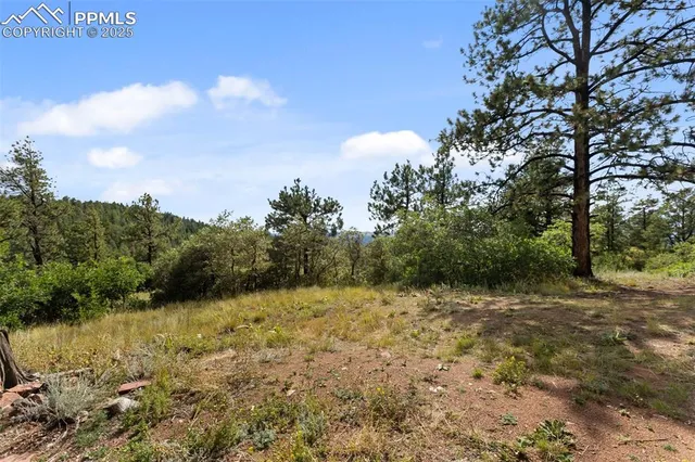 a view of a yard with a tree