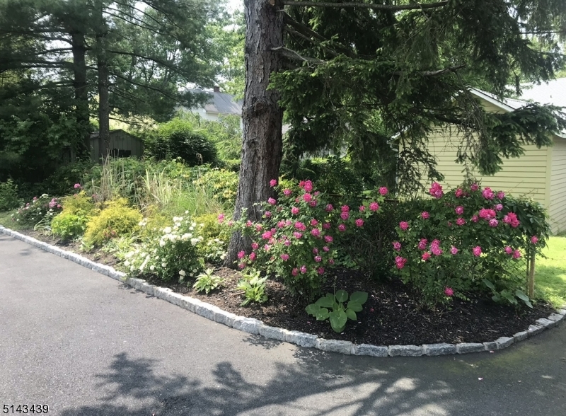 1 Union Avenue, Unit 3 Madison, NJ 07940 - Photo 12 of 12 a view of a garden with plants