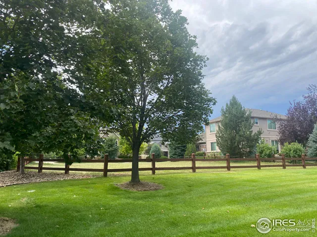 a huge green field with lots of trees