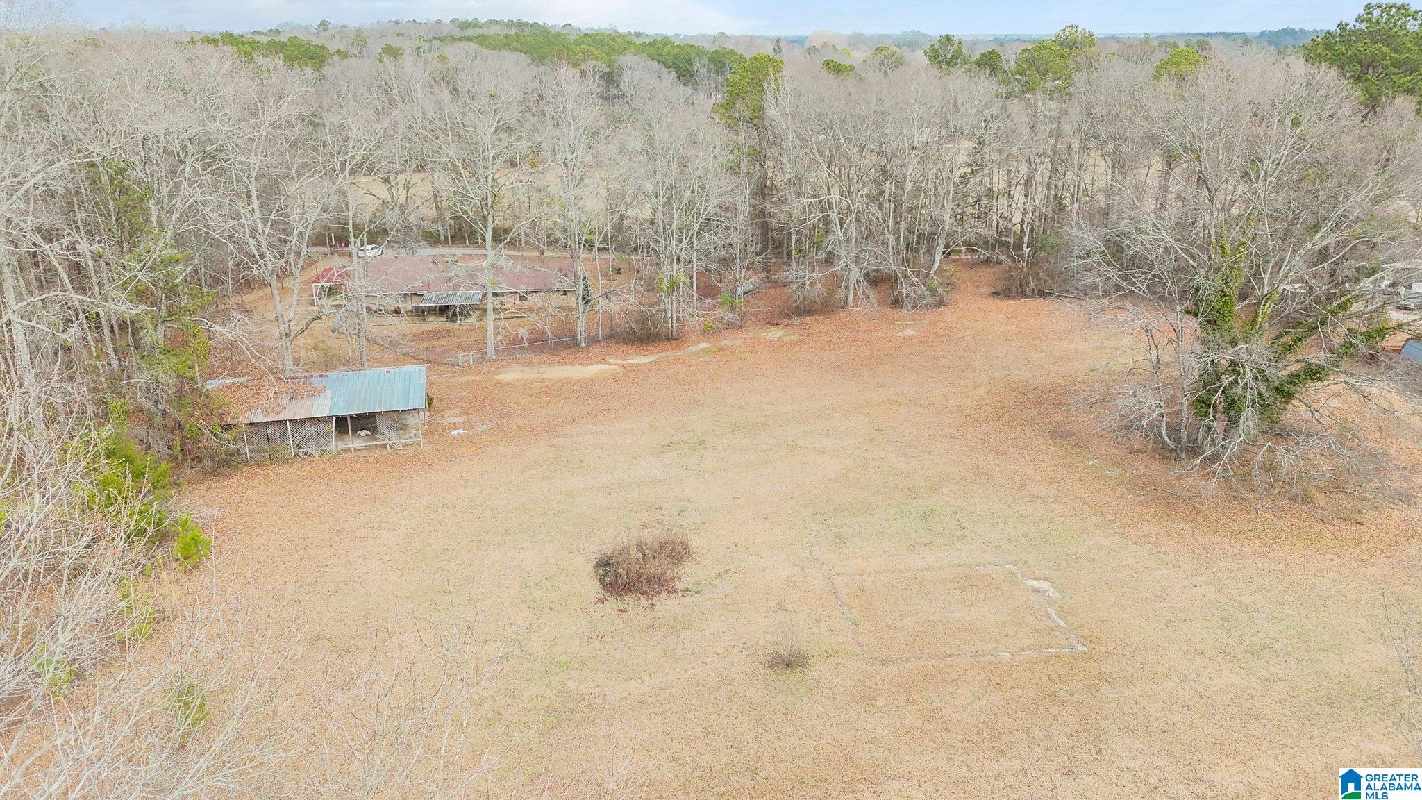 3926 County Road 37 Clanton, AL 35045 - Photo 9 of 42