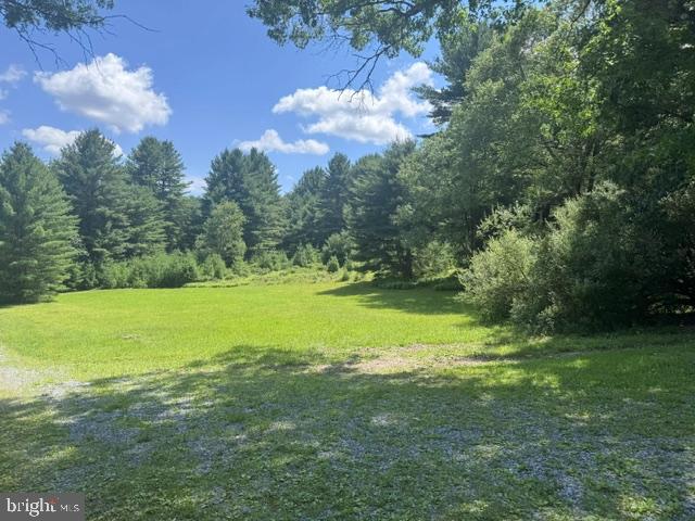 532 Phyllis Paradis Road Karthaus, PA 16845 - Photo 5 of 39