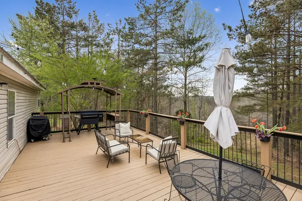 a view of backyard and trees