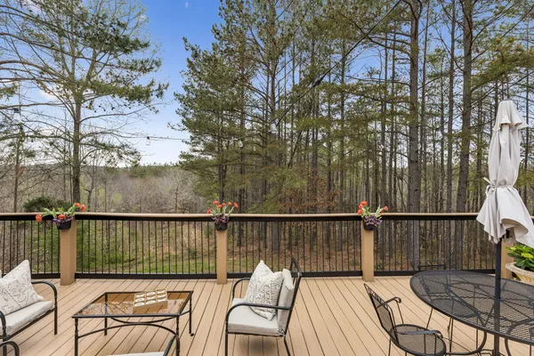 a view of a forest with a dry yard