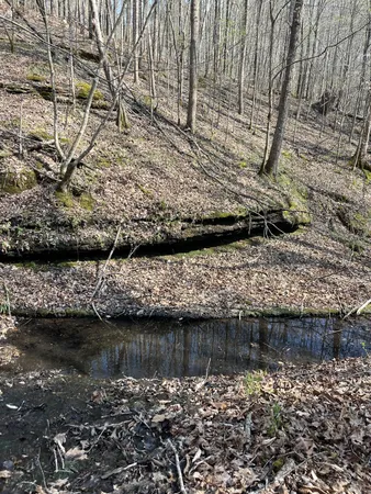$1,150,000 | 105 Sickler Road, Hohenwald, TN 38462