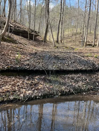 $1,150,000 | 105 Sickler Road, Hohenwald, TN 38462