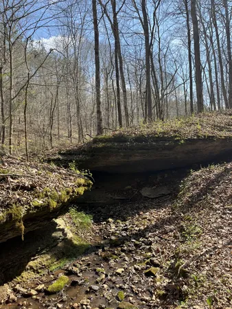 $1,150,000 | 105 Sickler Road, Hohenwald, TN 38462