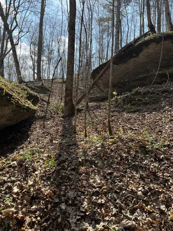 $1,150,000 | 105 Sickler Road, Hohenwald, TN 38462