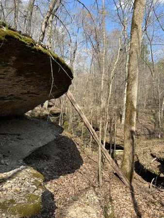 $1,150,000 | 105 Sickler Road, Hohenwald, TN 38462