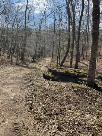$1,150,000 | 105 Sickler Road, Hohenwald, TN 38462
