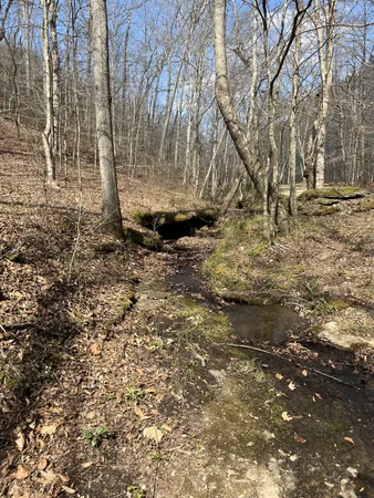 $1,150,000 | 105 Sickler Road, Hohenwald, TN 38462