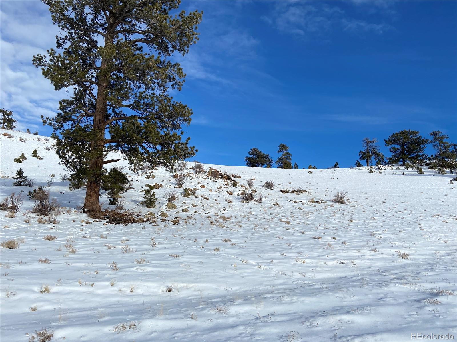 Cochise Road Hartsel, CO 80449 - Photo 11 of 16 Gallery Image 11