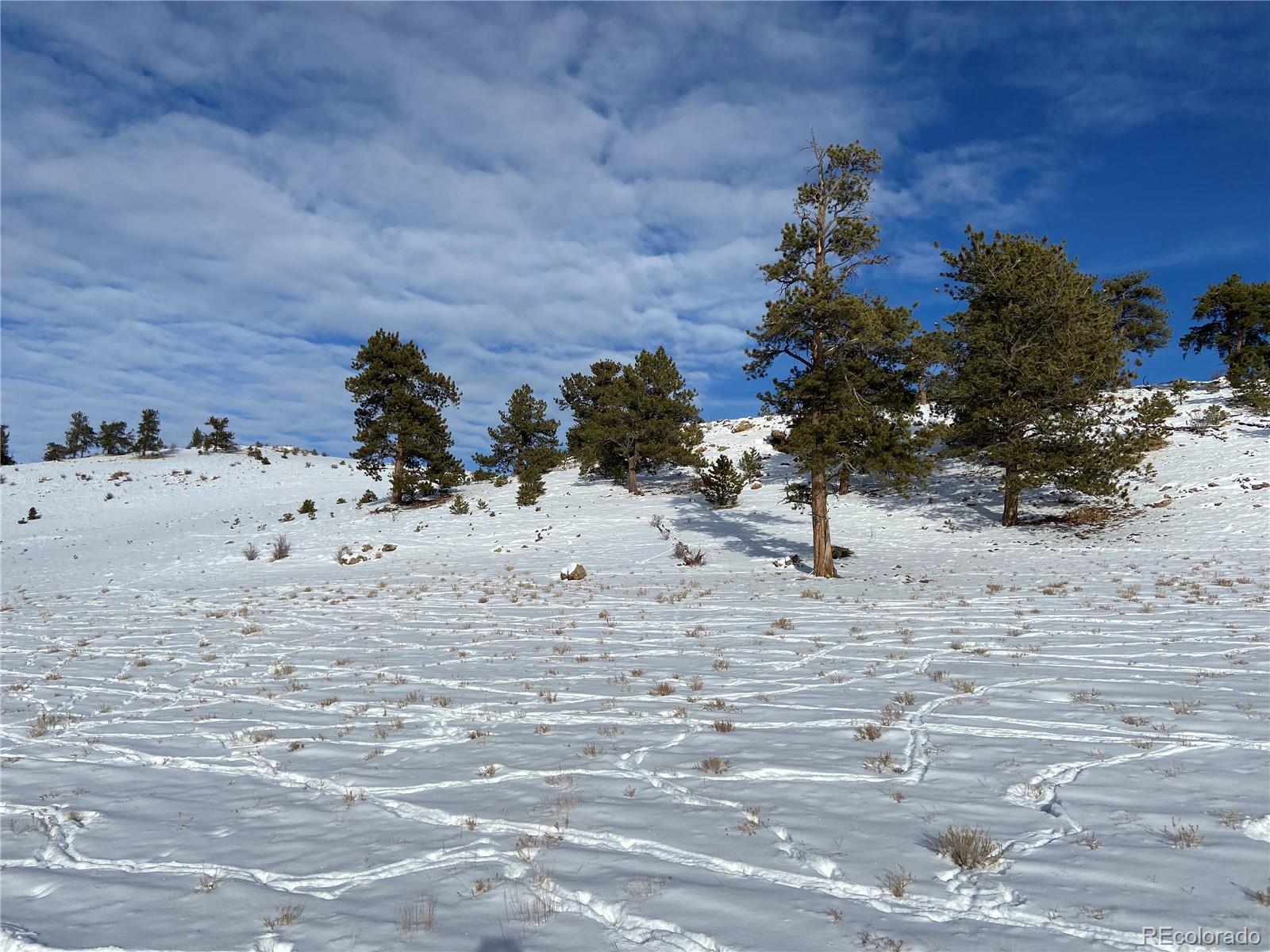 Cochise Road Hartsel, CO 80449 - Photo 8 of 16 Gallery Image 8