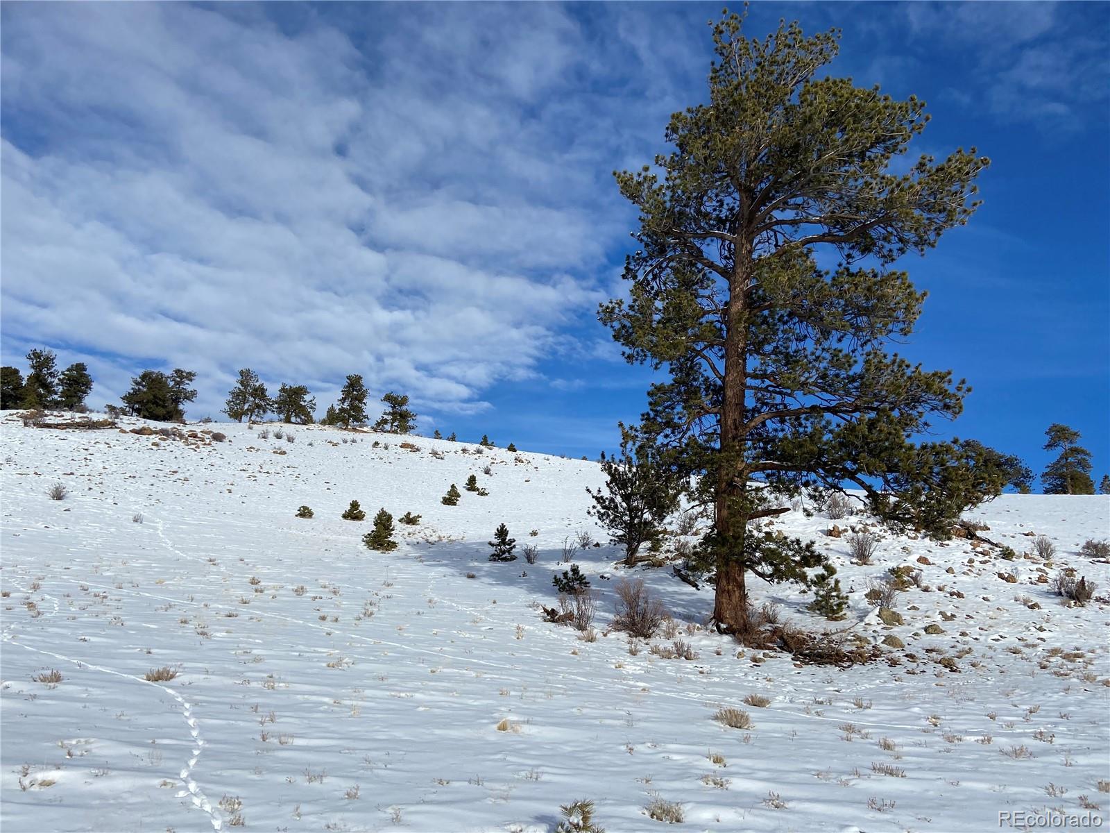 Cochise Road Hartsel, CO 80449 - Photo 9 of 16 Gallery Image 9