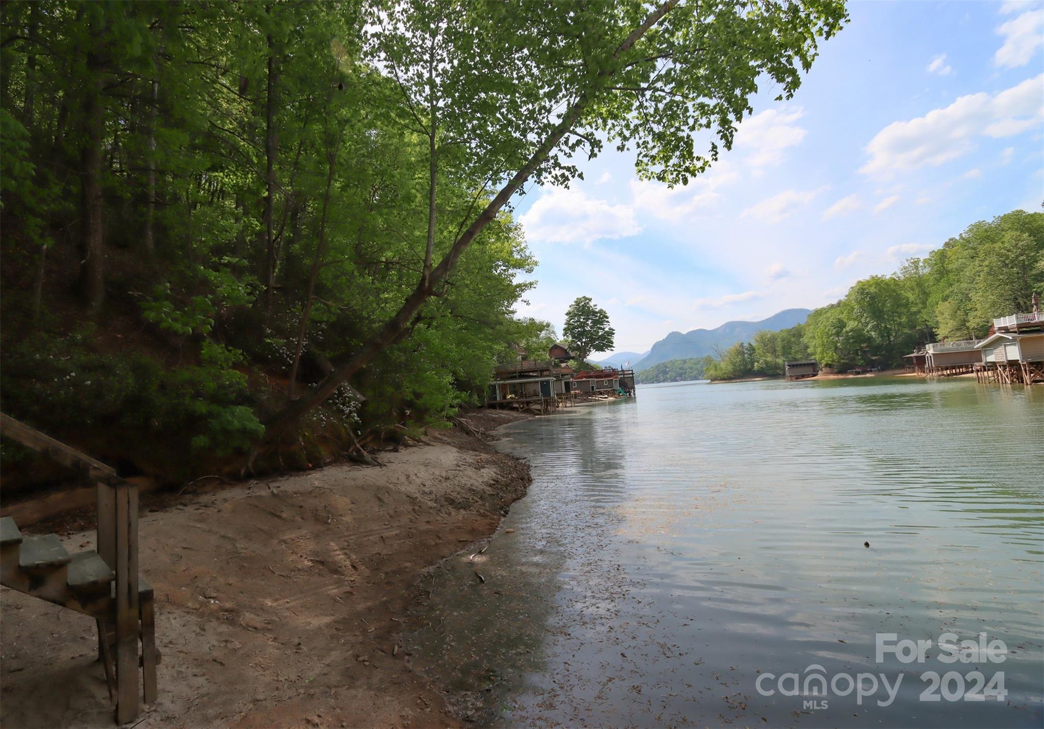 0 Buffalo Shoals Road Lake Lure, NC 28746 - Photo 11 of 13
