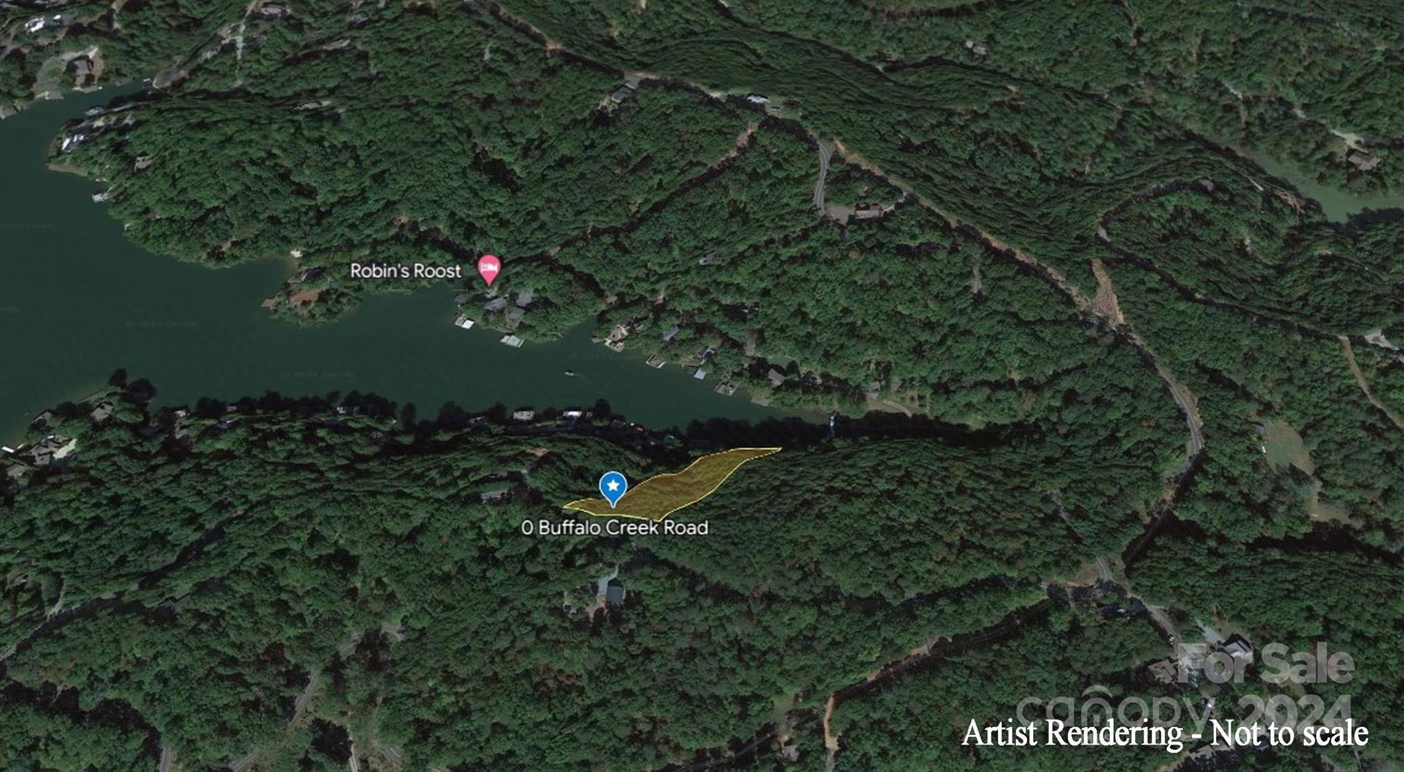 0 Buffalo Shoals Road Lake Lure, NC 28746 - Photo 12 of 13