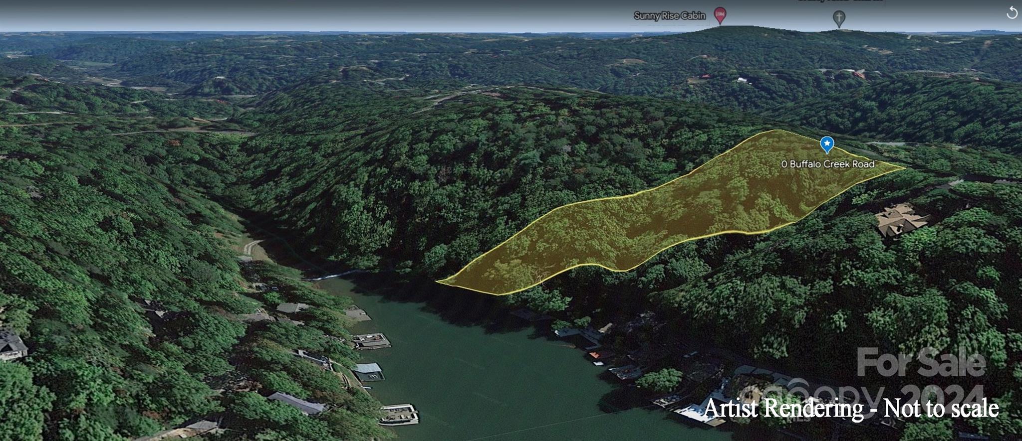 0 Buffalo Shoals Road Lake Lure, NC 28746 - Photo 13 of 13